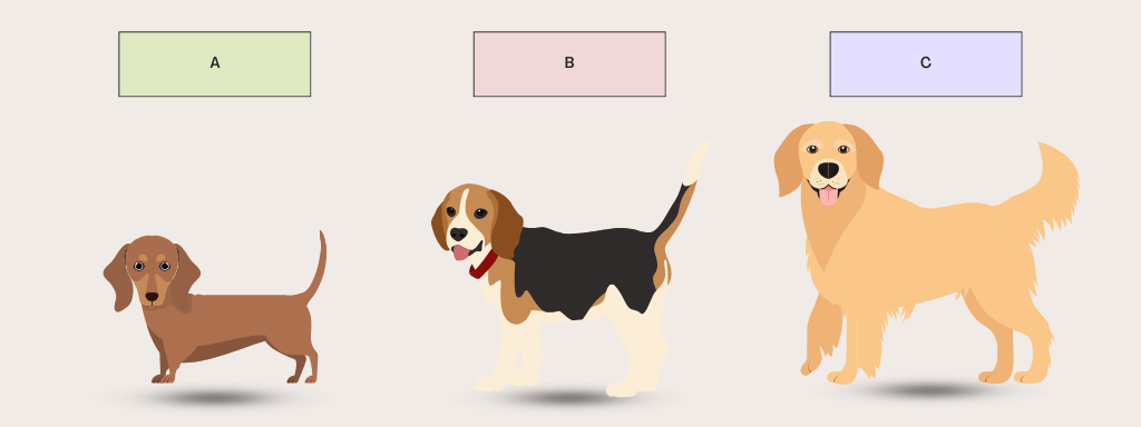 Dog breed and size quiz with three illustrated choices: small Dachshund, medium Beagle, and large Golden Retriever.